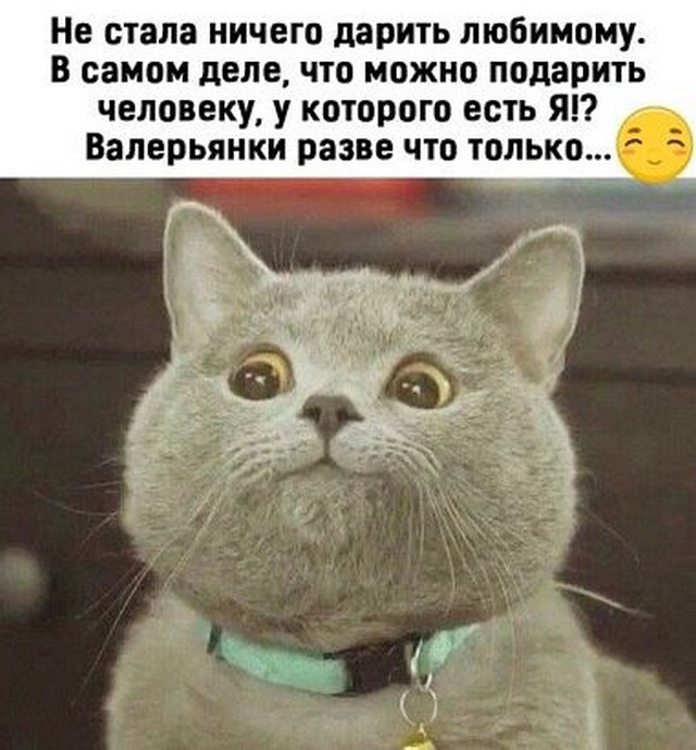4743317_i_2 (640x690, 118Kb)