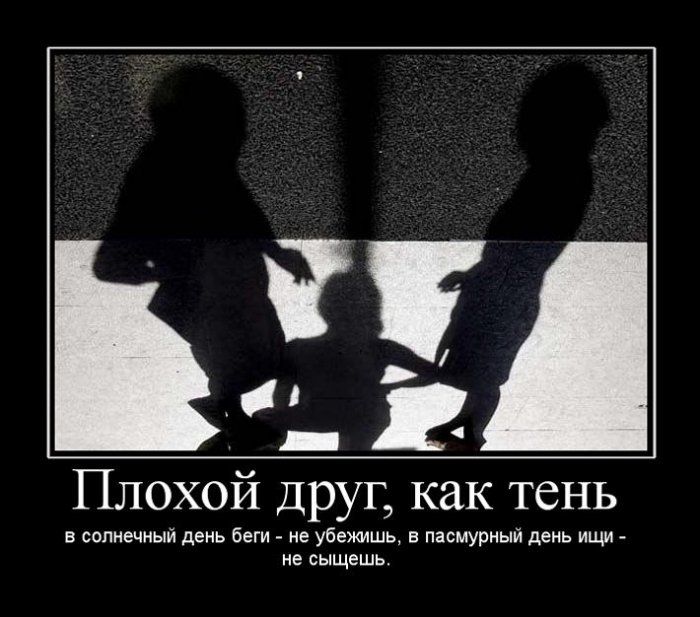 4743317_demotivatori_91 (700x617, 63Kb)