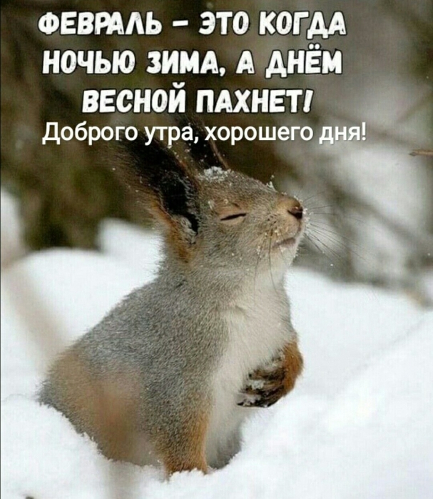 4743317_image20200215 (607x700, 271Kb)