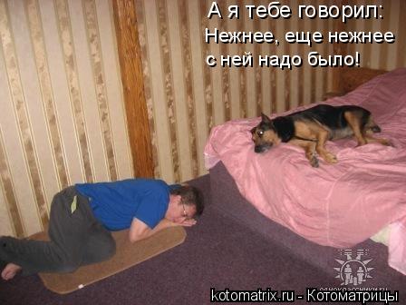 4743317_1V (448x336, 29Kb)