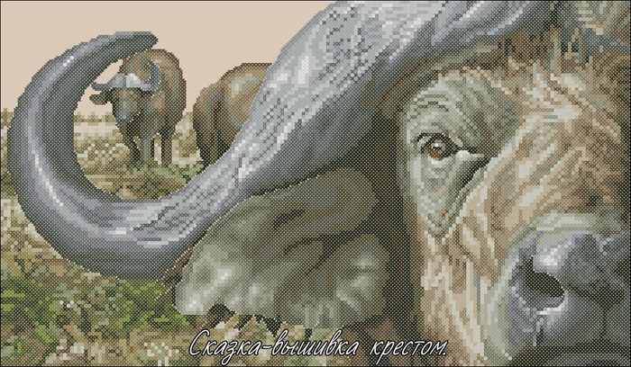 i (700x408, 329Kb)