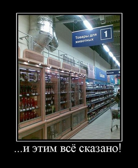 4743317_demotivatori_87 (550x668, 65Kb)