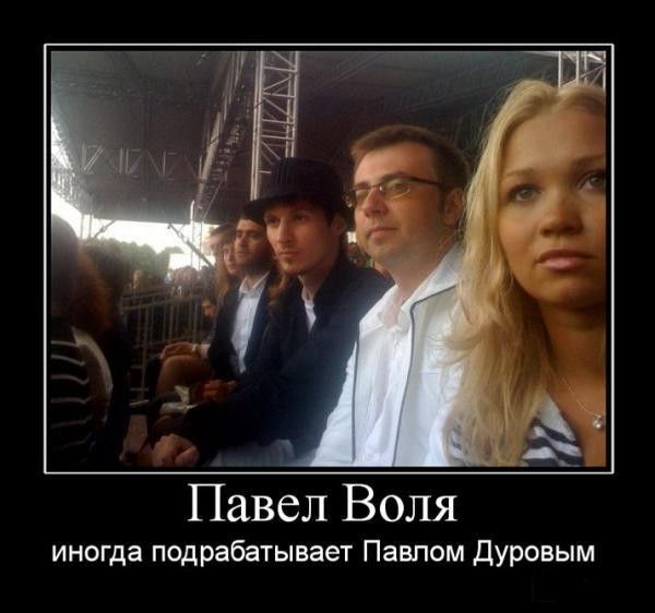 4743317_demotivatori_79 (600x562, 40Kb)