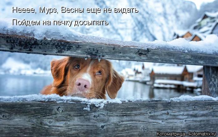 4743317_kotomatritsa_O_1 (700x441, 60Kb)