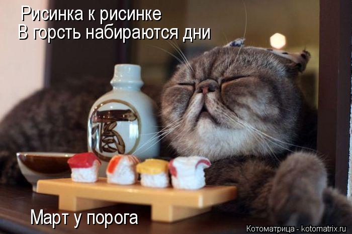 4743317_kotomatritsa_4 (700x466, 48Kb)