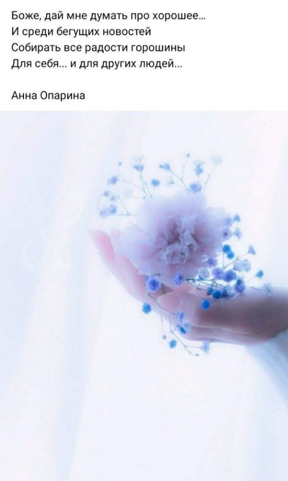 ff43023a7605192a06f396d1eddf0639 (419x700, 149Kb)