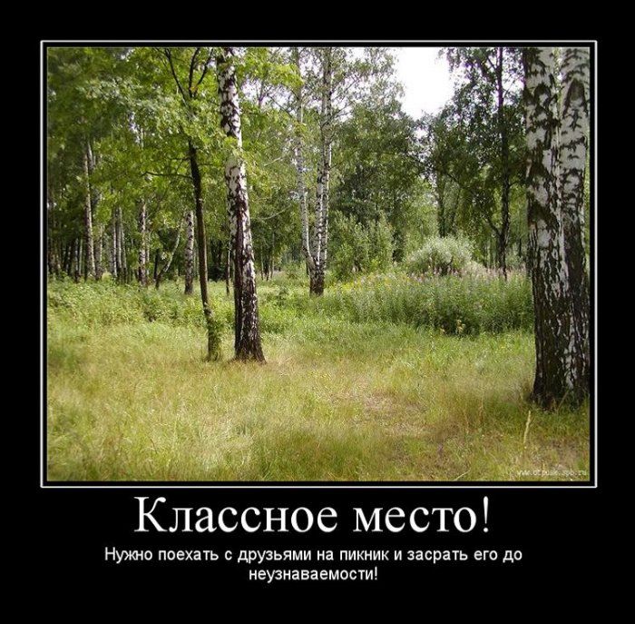 4743317_demotivatori_106 (700x687, 117Kb)