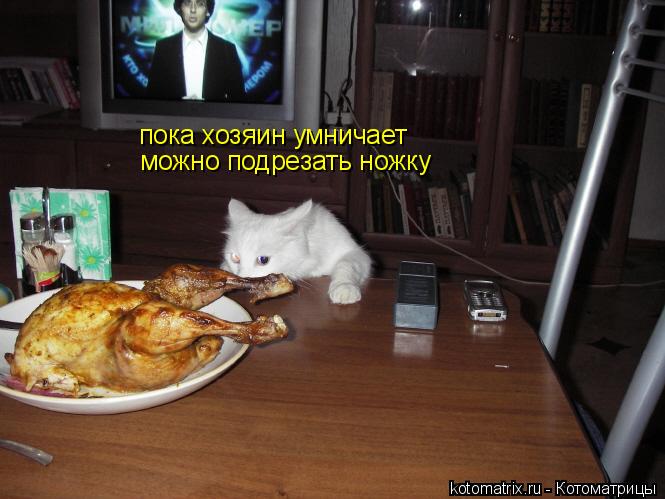 4743317_X2 (665x499, 49Kb)
