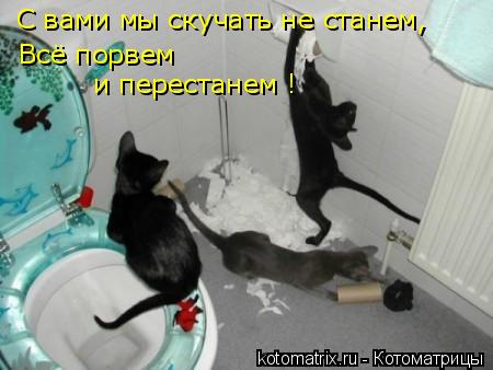 4743317_Lk (450x338, 27Kb)