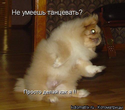 4743317_h3 (500x441, 27Kb)