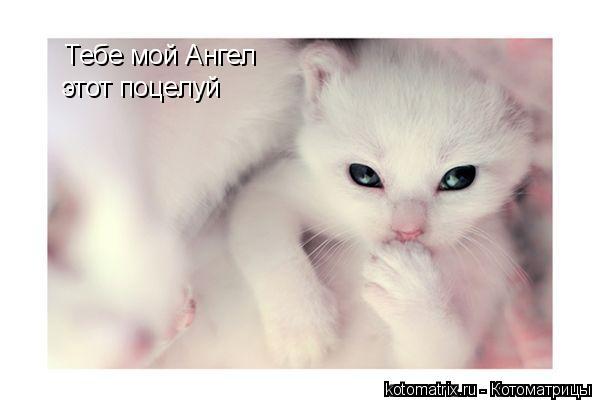 4743317_xS (600x400, 22Kb)