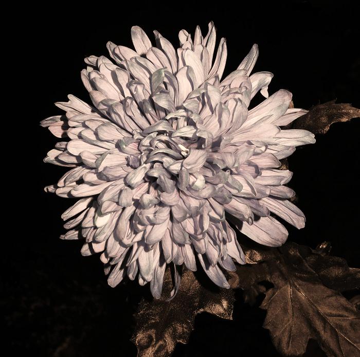 00 (700x694, 88Kb)