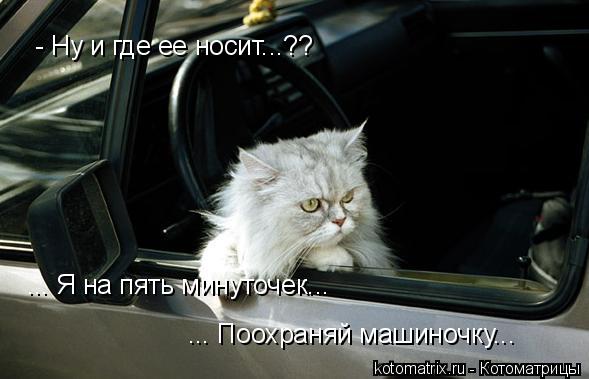 4743317_xm (589x379, 33Kb)