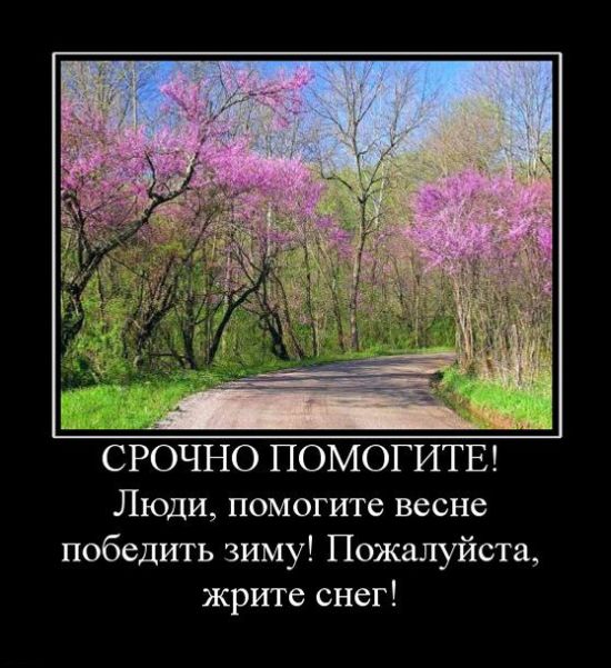 4743317_demotivatori_22 (550x601, 81Kb)