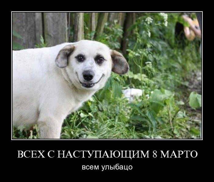 4743317_demotivatori_92 (700x595, 62Kb)