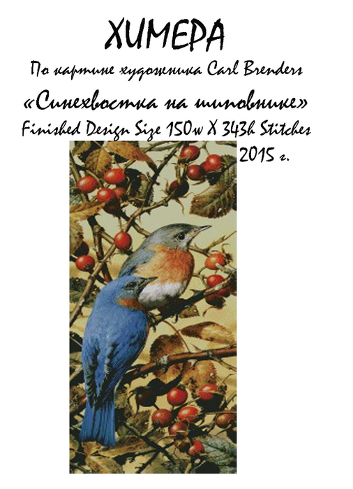 Page_00001 (506x700, 225Kb)