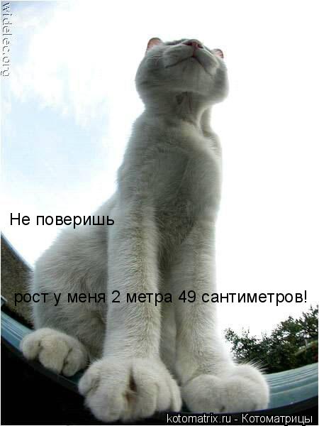 4743317_Eh (450x600, 31Kb)