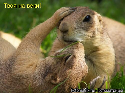 4743317_NW (500x375, 32Kb)