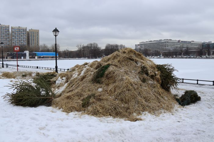 IMG_0866 (700x466, 267Kb)