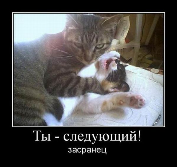 4743317_demotivatori_36 (600x566, 39Kb)
