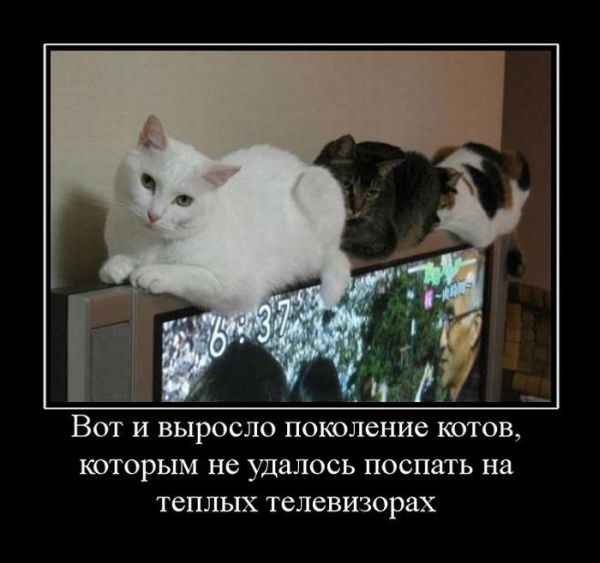 4743317_demotivatori_39 (600x563, 40Kb)