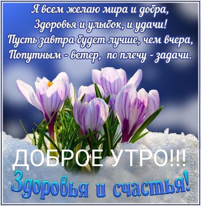 4743317_image20200326 (680x700, 148Kb)