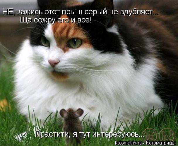 4743317_R (608x500, 51Kb)