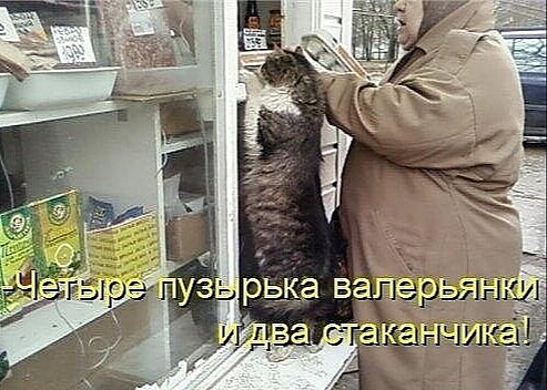 4743317_i_1 (493x352, 67Kb)