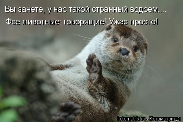 4743317_E8 (600x400, 33Kb)