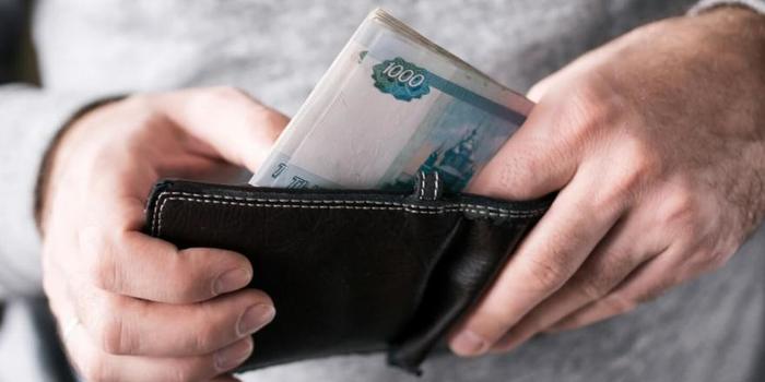 5488342_rublesmoney (700x350, 25Kb)