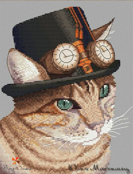кот с очк (536x700, 462Kb)