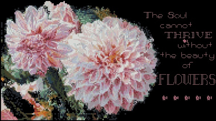 Dahlia_sentiments (700x393, 292Kb)