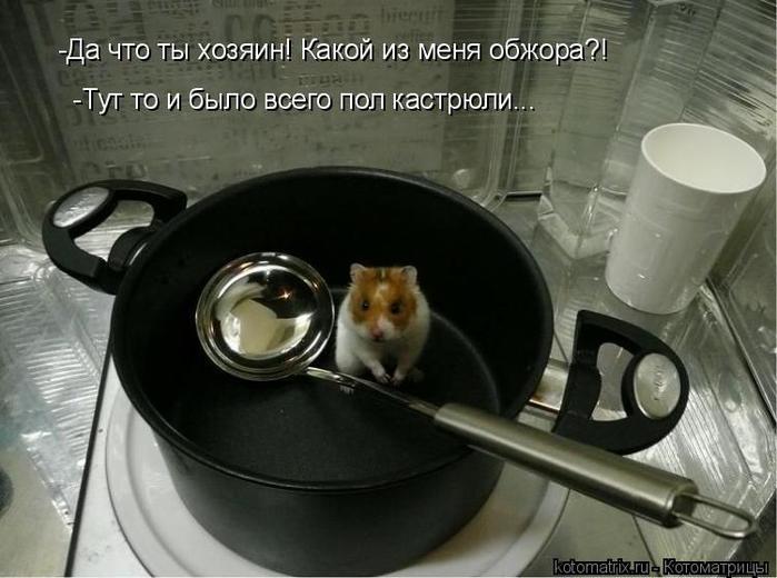 4743317_k5 (700x520, 51Kb)