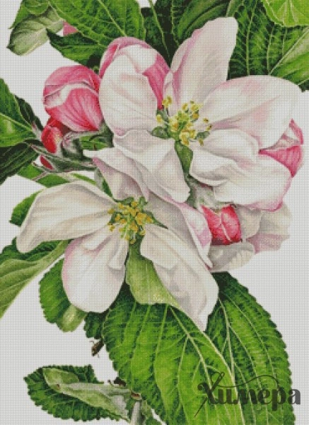 CEF6EEFF-7973-4B8C-A5D1-0AB92554886E (437x600, 628Kb)