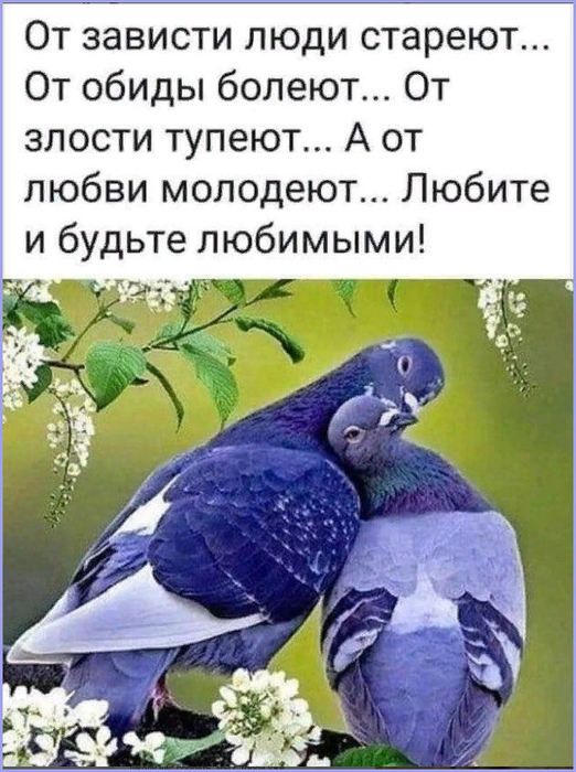 2 (522x700, 84Kb)
