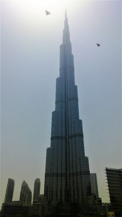 13060125 (394x700, 285Kb)