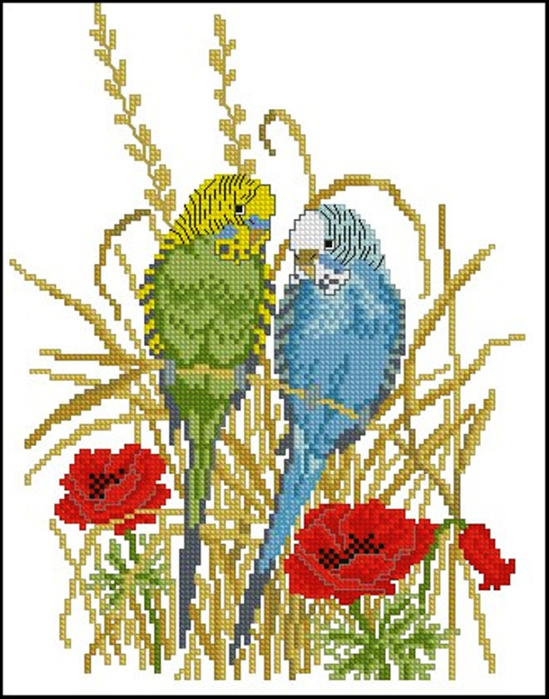 popugai-krestom. (549x700, 356Kb)