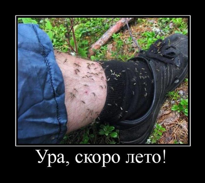 4743317_demotivatori_96 (700x625, 84Kb)