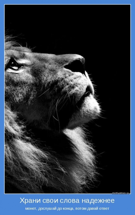 4743317_motivator48715 (441x700, 134Kb)