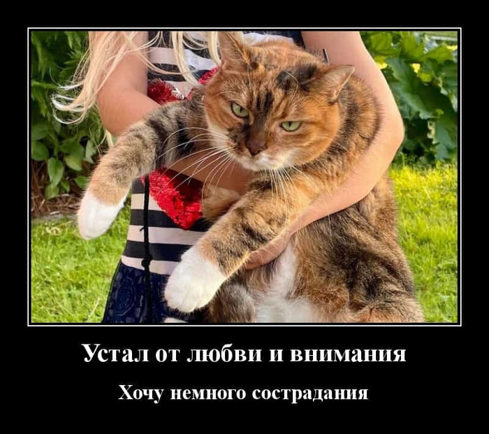 4743317_i_jpgl (700x621, 124Kb)