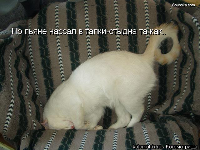 4743317_dd (640x480, 51Kb)
