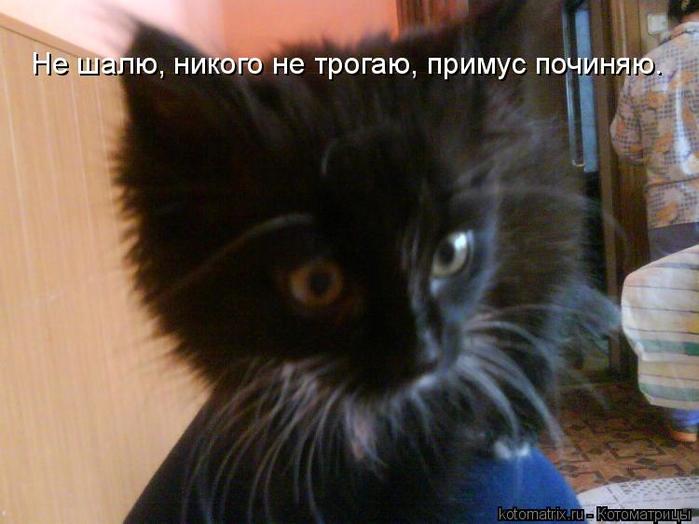 4743317_as (700x524, 43Kb)