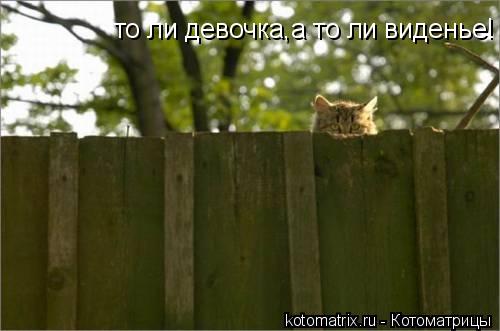 4743317_e7 (500x331, 24Kb)