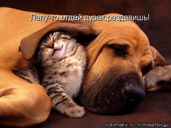 4743317_UD (567x425, 44Kb)