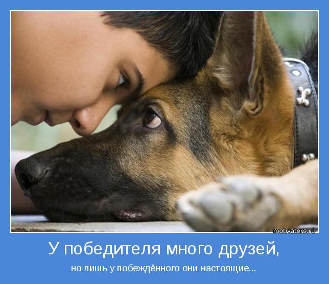 4743317_motivator48727 (644x556, 48Kb)