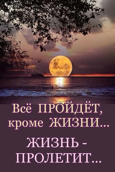 4743317_i_1_ (466x700, 91Kb)