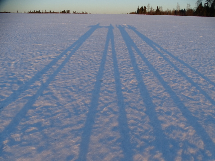 DSC00617 (700x525, 385Kb)