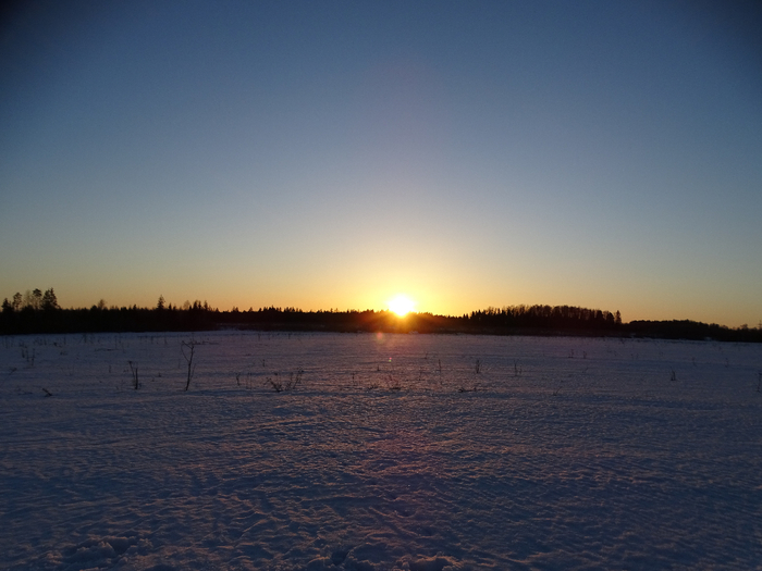 DSC00630 (700x525, 319Kb)