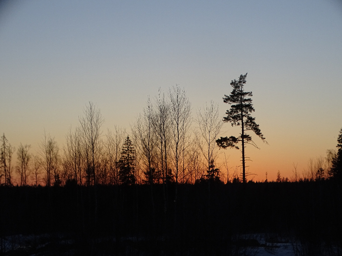 DSC00663 (700x525, 300Kb)