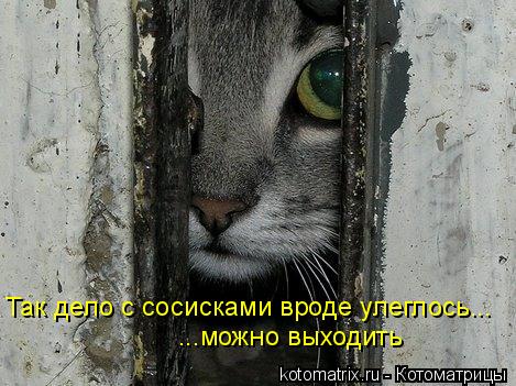 4743317_wL (469x351, 48Kb)